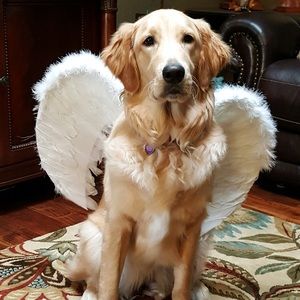 Meet your Posher, Jess